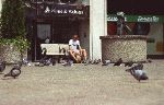 Lunch Hour in Toronto