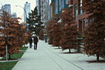 Condo Life in Yaletown