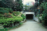 An Underground Crosswalk