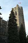 University College
