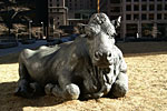 Resting Bull