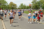 Running Along Dowe’s Lake¹