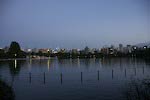After Sunset at Ueno Park