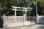 Something by Tokyo Tower