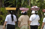 Nice Hats, Ladies!