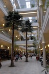 Shopping at Rockwell